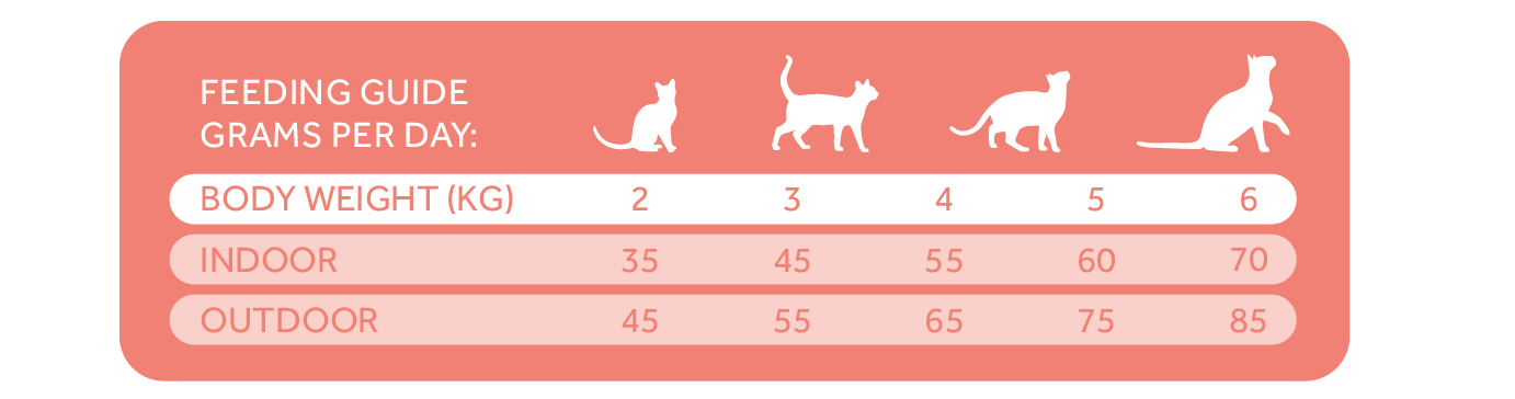 Tablas Trovetplus-21